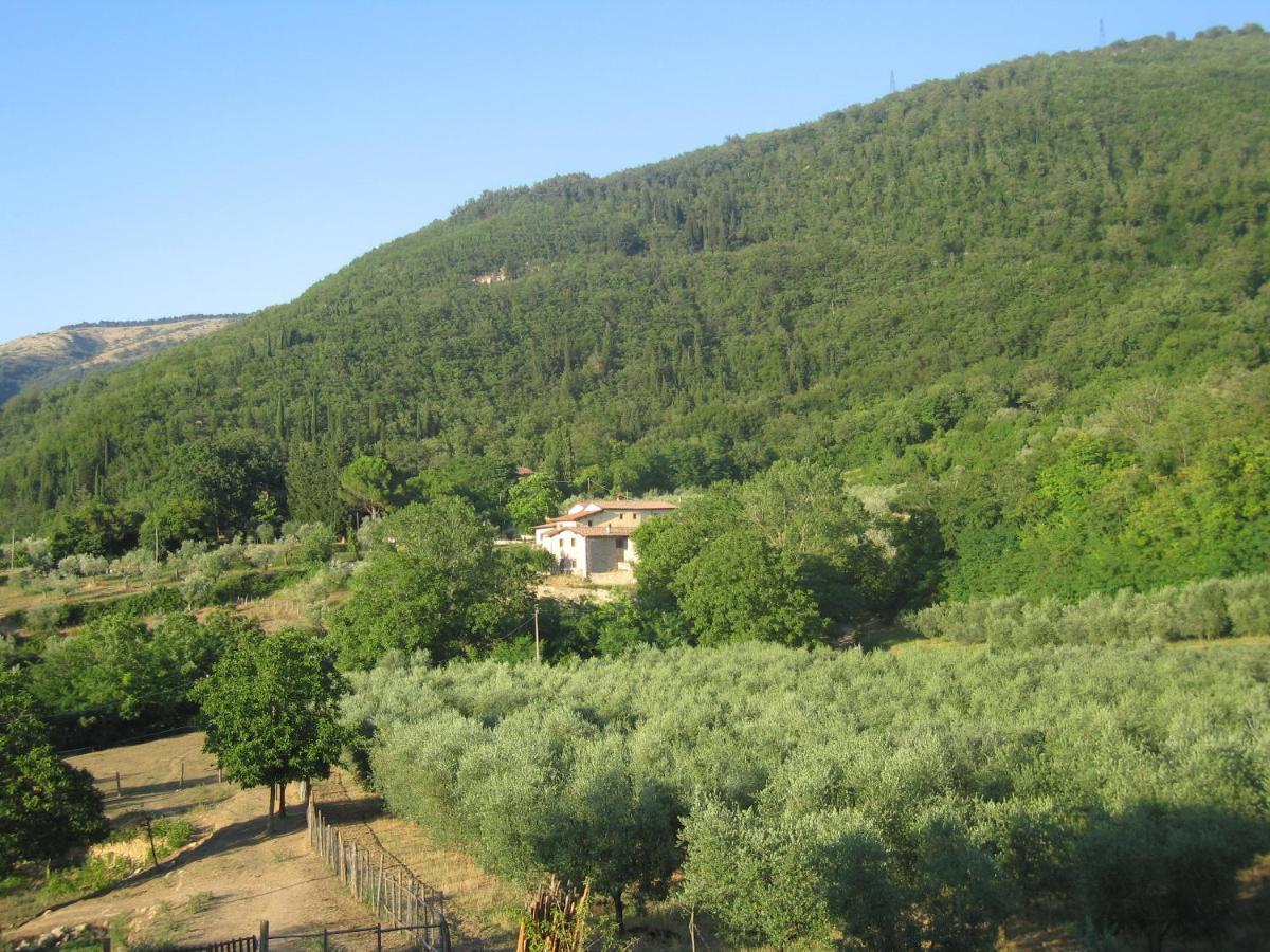 Agriturismo Il Ponticello Vaiano  Exterior foto