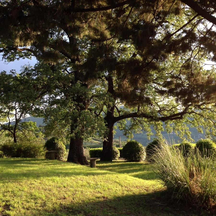Agriturismo Il Ponticello Vaiano  Exterior foto