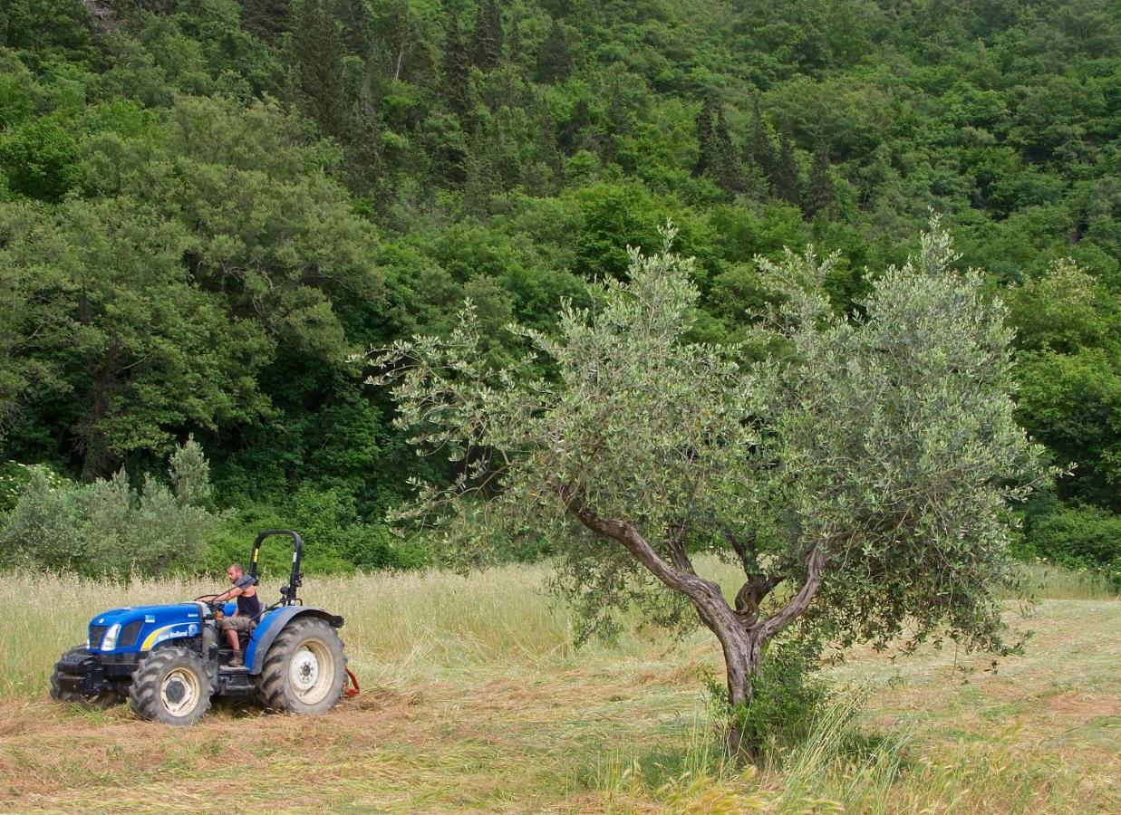 Agriturismo Il Ponticello Vaiano  Exterior foto