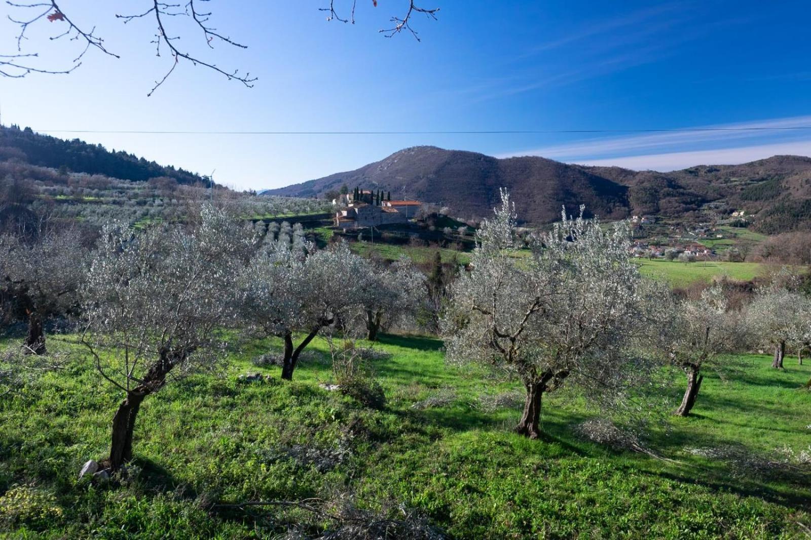 Agriturismo Il Ponticello Vaiano  Exterior foto